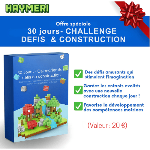 Blocs Magnétique Minecraft - Haymeri